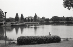 落合公園　～水無月の自転車散歩