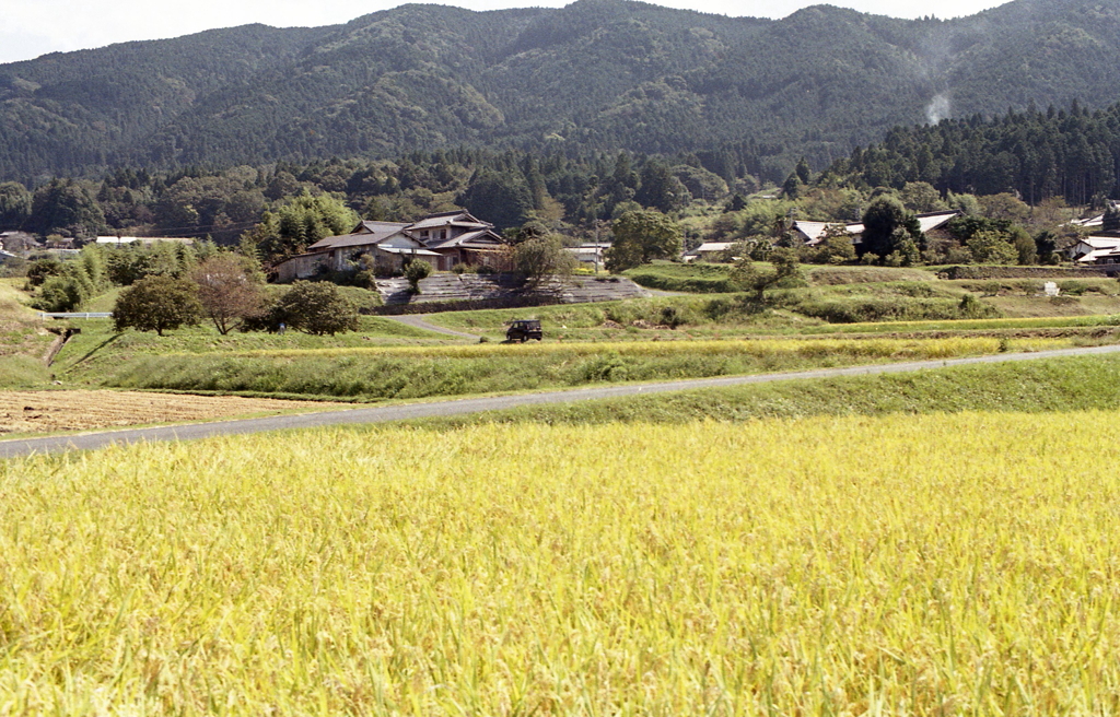黄金色の景色　～土岐・恵那の風景