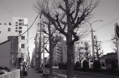 Minolta HI-MATIC E with Redフィルター