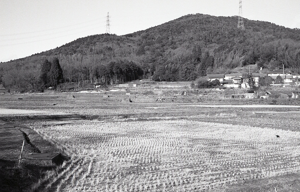 弥勒山・大谷山・道樹山を望む