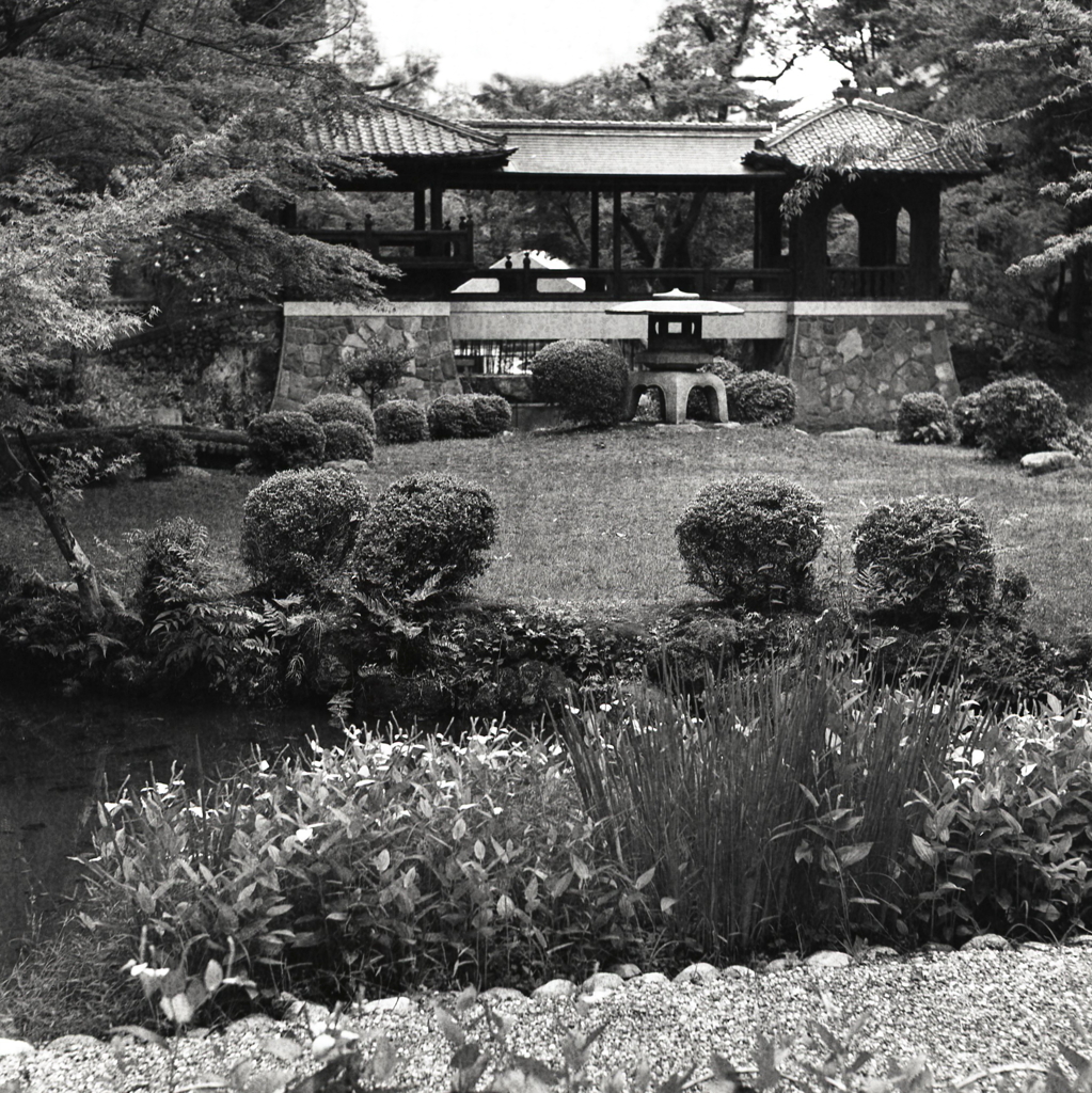 北庭園の白雲橋