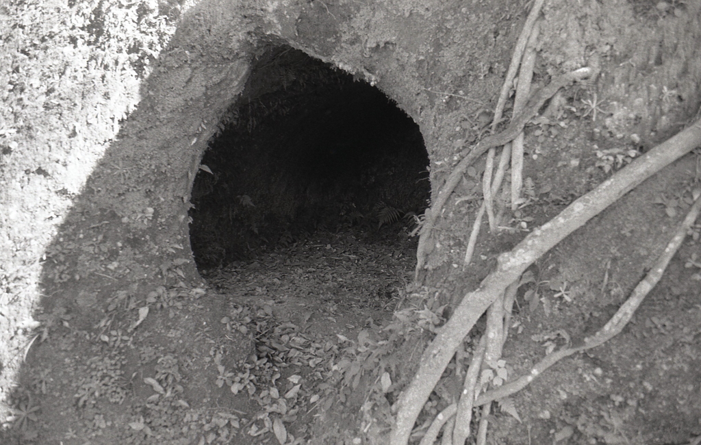 個室的な墓地ですね。（笑