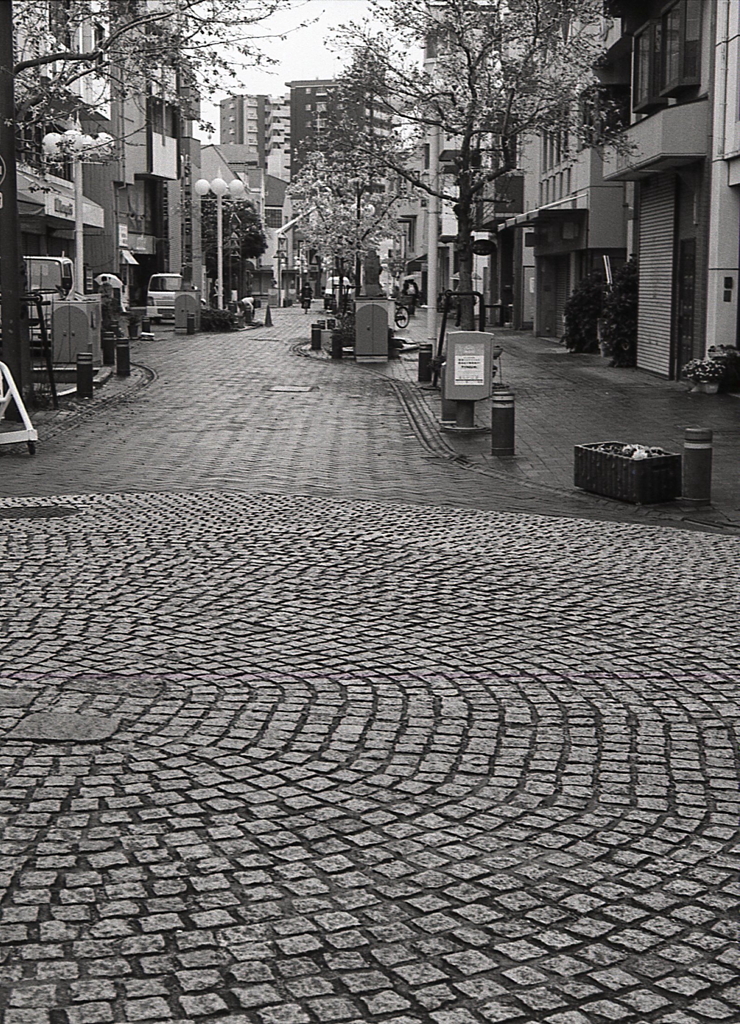 閑散とした街に石の歩道が浮き上がる