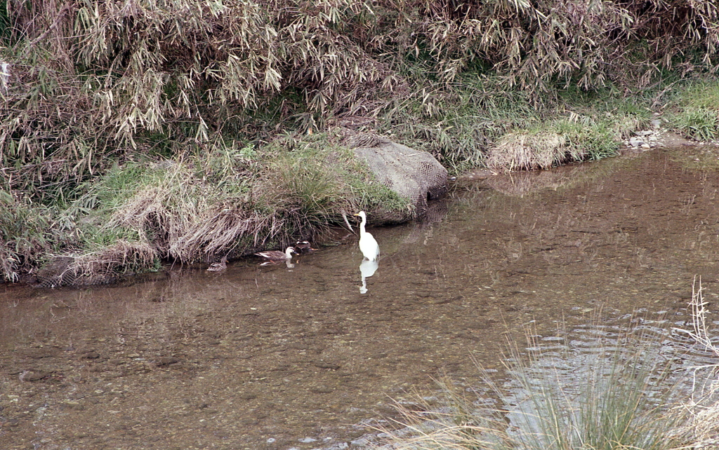 肌の色は違っても仲がいいんだね。（笑