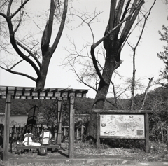 秋口の松野湖