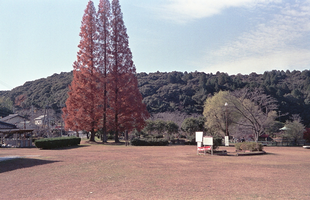 石段を下るとそこは定光寺公園です。