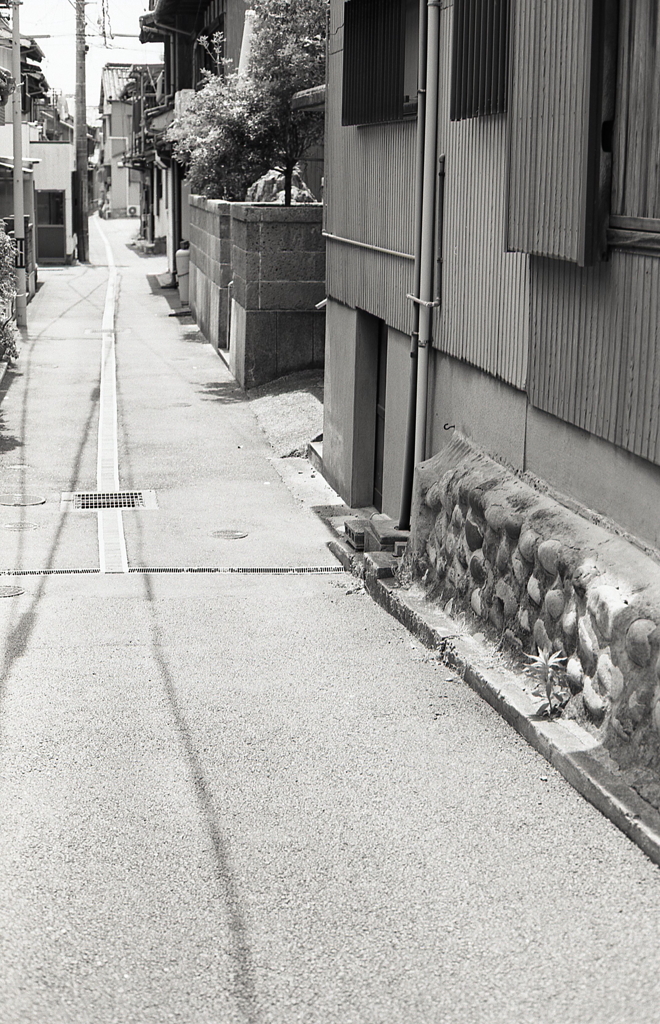 歩きたいけど後でぶらつこう…