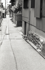 歩きたいけど後でぶらつこう…