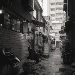 雨の小路のモノクロ