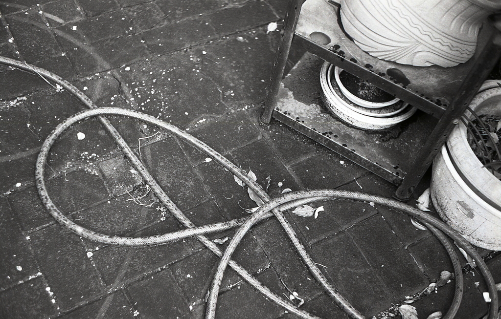 NonTitleⅡ