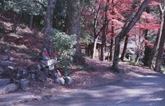 墓参りのあとで…定光寺