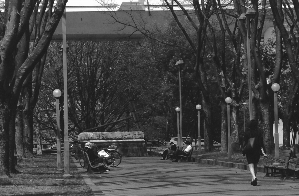 パークの昼時　～okamos10様へ…