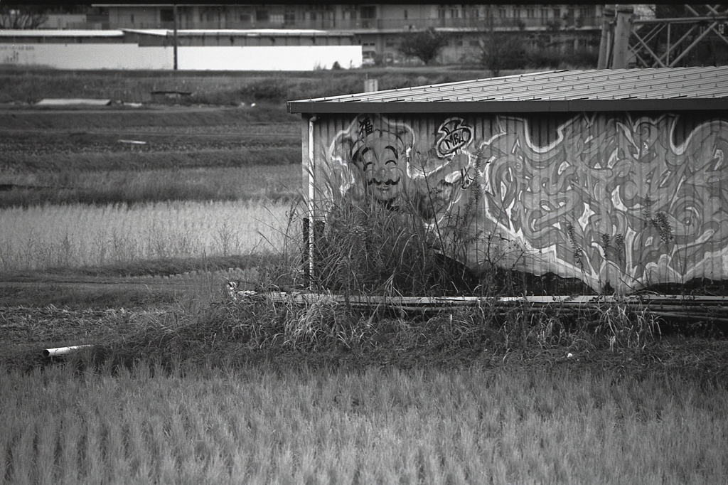 雨降りドンジャラ恵比寿さん