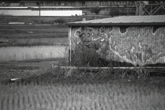 雨降りドンジャラ恵比寿さん