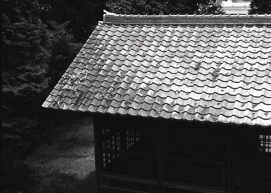 瓦屋根を撮るのが好き（苦笑