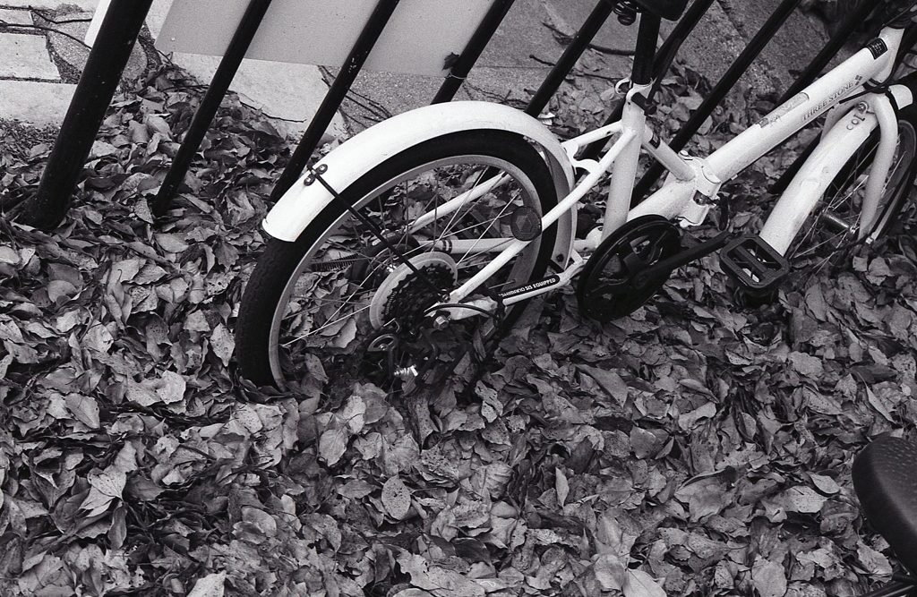 埋もれる自転車