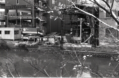 堀川沿いの材木商