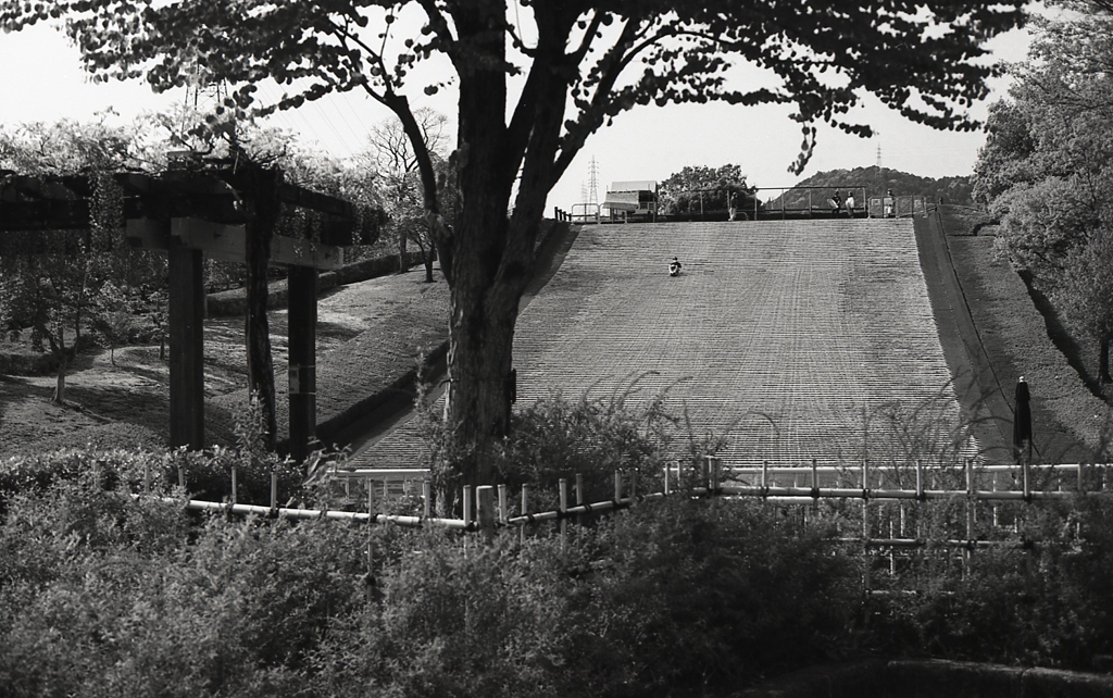 四季の森のそり滑り