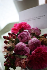人と同じで花も色褪せる 人と同じで花も色褪せる