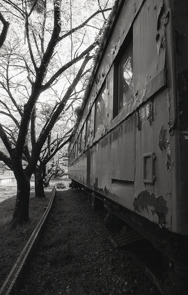 ずっとこのままで…