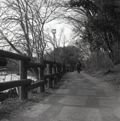 春先の散歩道