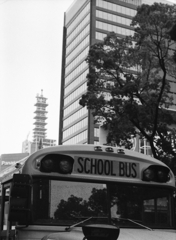 SCHOOL BUS