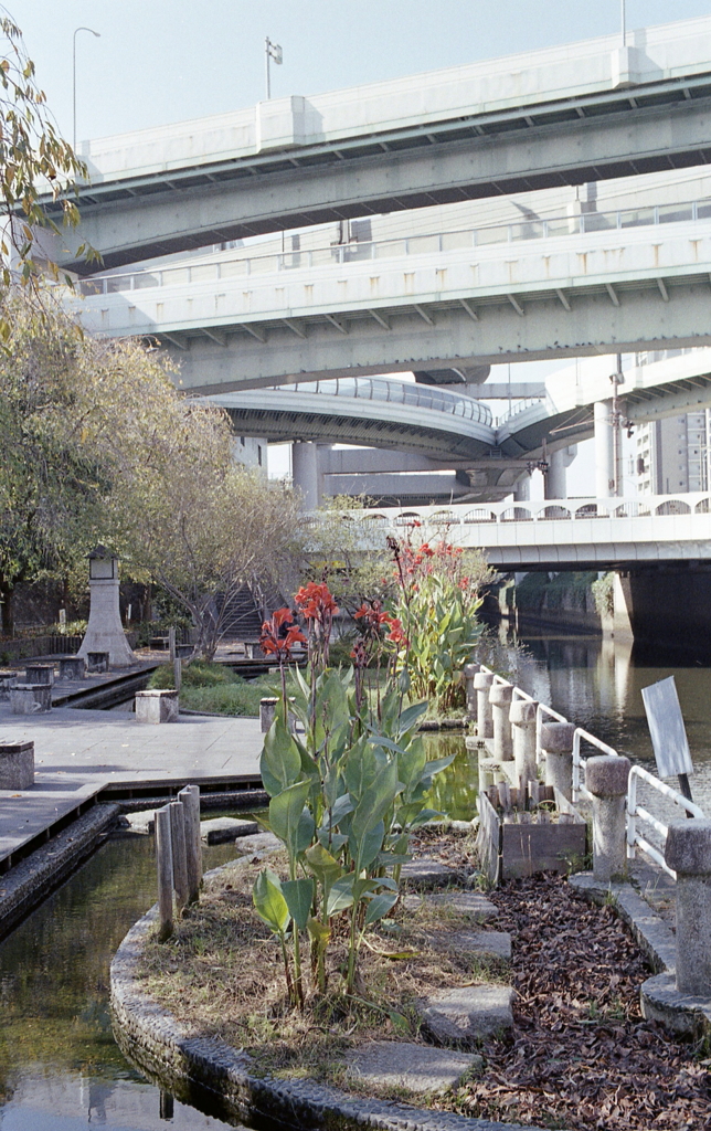 清水という地名の由来とは…