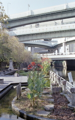 清水という地名の由来とは…