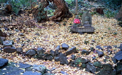 石段脇に秋地蔵