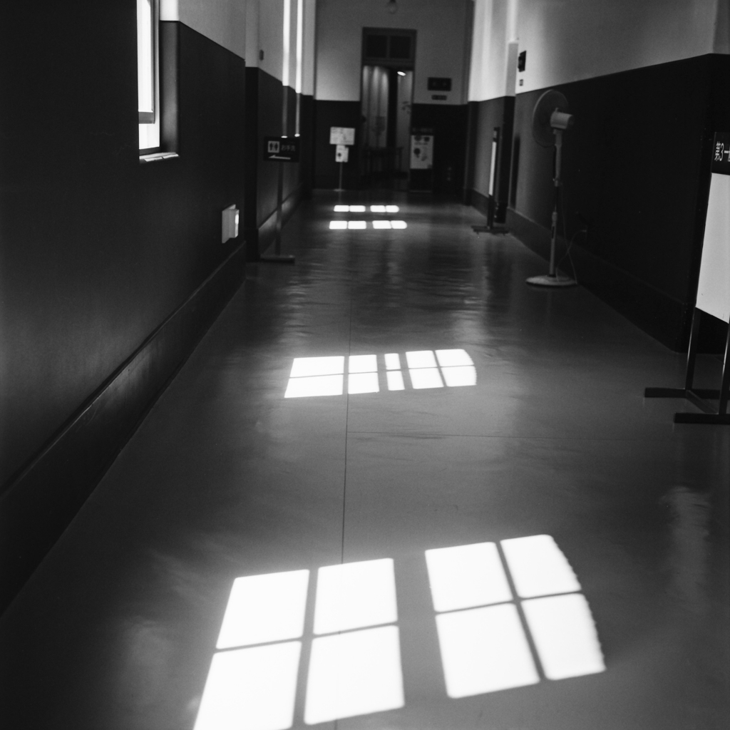 昼下がりの廊下