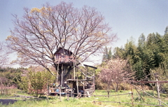 ツリーハウスの春景色