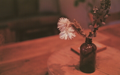 薬瓶に差された白い花 薬瓶に差された白い花