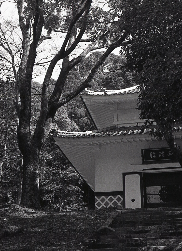 経堂のアングル