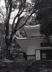 経堂のアングル