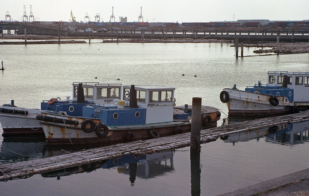 キリンの見える桟橋のアングル