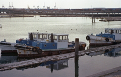 キリンの見える桟橋のアングル