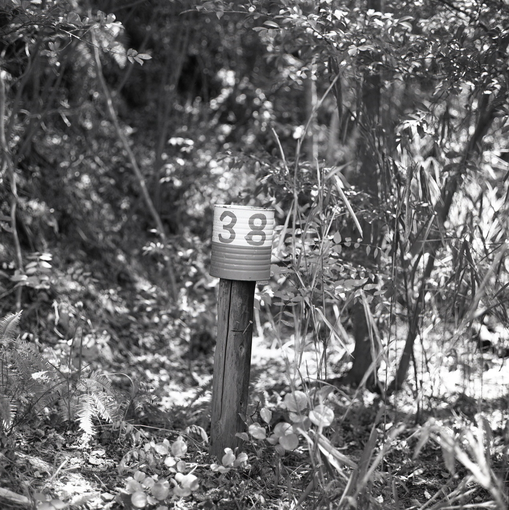 「38」の空缶