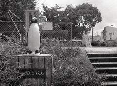 ぺんぎんこうえん