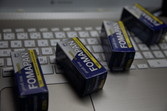 Foma が来た。