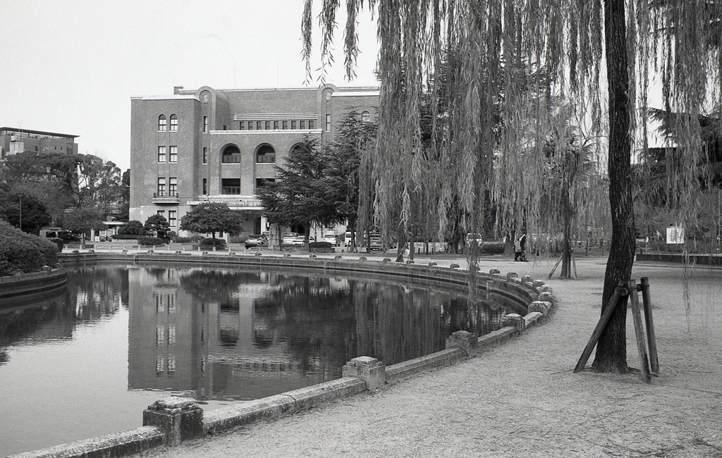 噴水塔も放水なく柳だけがゆらゆらと…