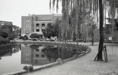 噴水塔も放水なく柳だけがゆらゆらと…