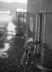 放置自転車の札