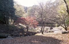 静かな公園