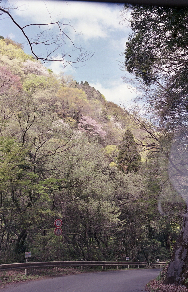 ちょっと山間に走り出しました。