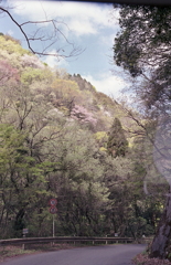 ちょっと山間に走り出しました。