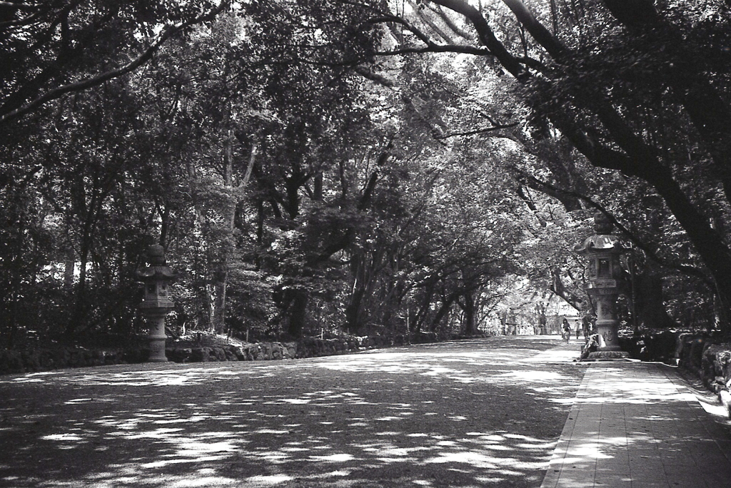 神宮参拝　～熱田の森