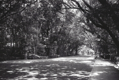 神宮参拝　～熱田の森