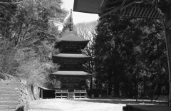 観音堂から三重塔