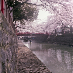 石縁で桜色に包まれ覗くファインダー