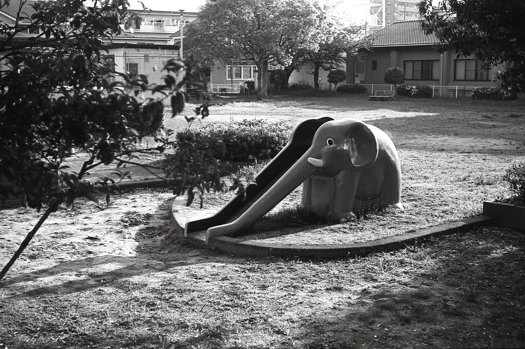 さびしいゾウさん